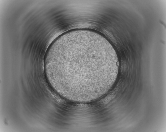 X0000095891226200802081110