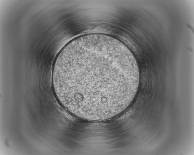 X0000095891228200802081110