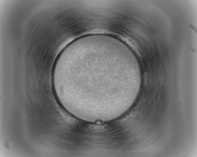X0000095891229200802081110