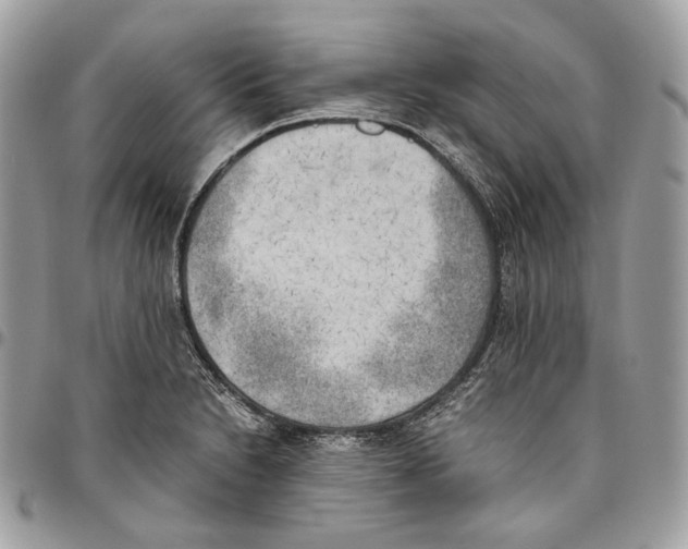 X0000095891230200802081110