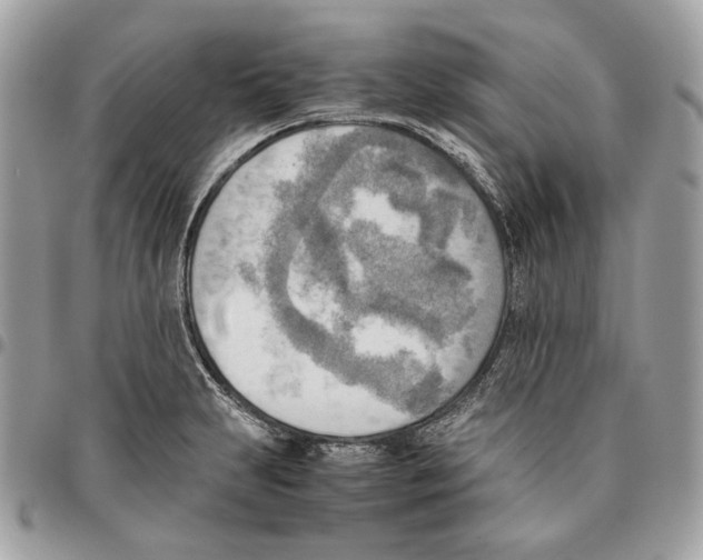 X0000095891231200802081110