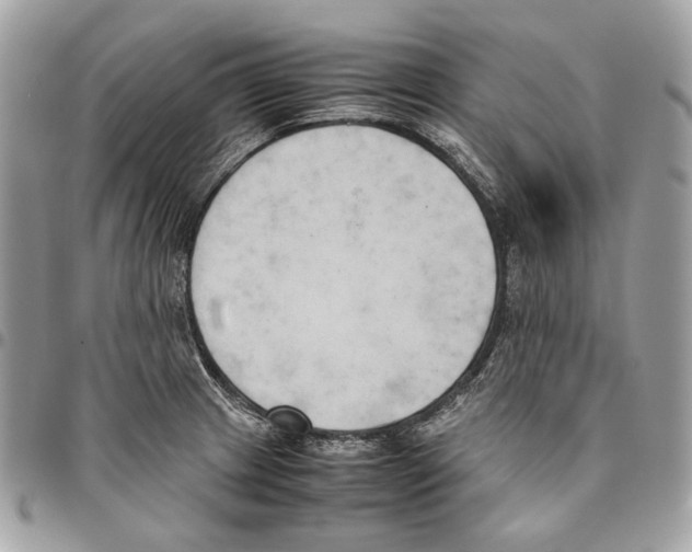 X0000095891233200802081110