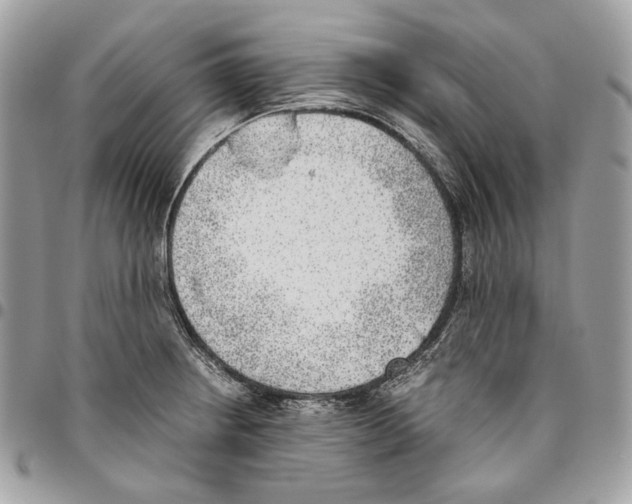 X0000095891234200802081110