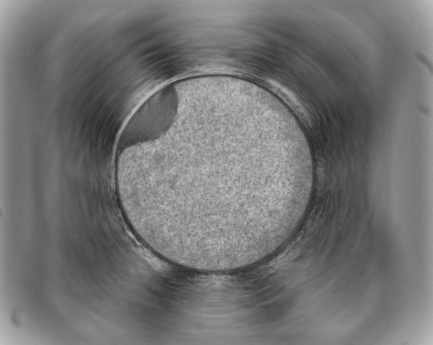 X0000095891236200802081110