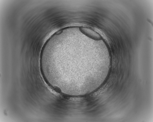 X0000095891237200802081110