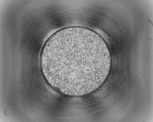 X0000095891238200802081110
