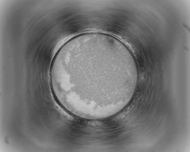 X0000095891239200802081110