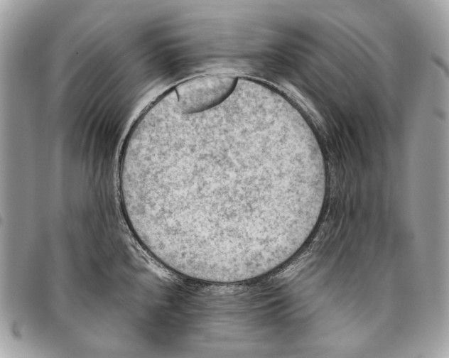 X0000095891240200802081110