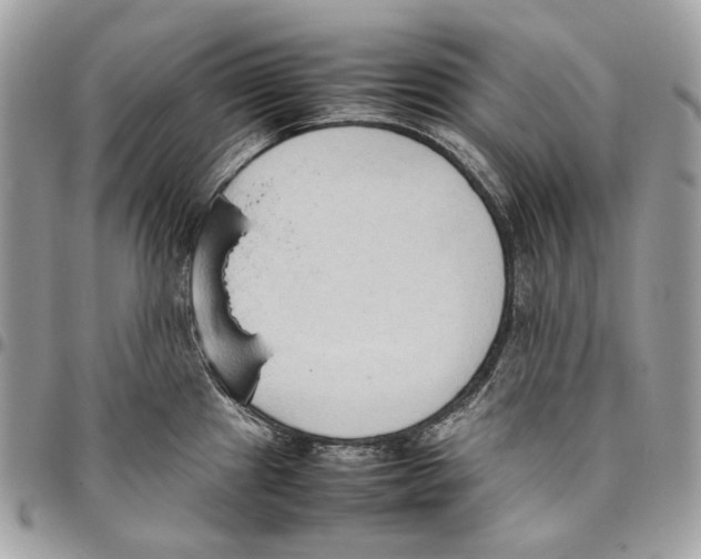 X0000095891241200802081110