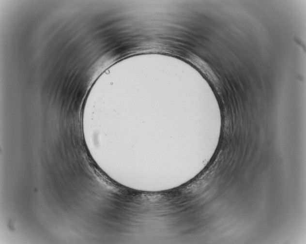 X0000095891242200802081110
