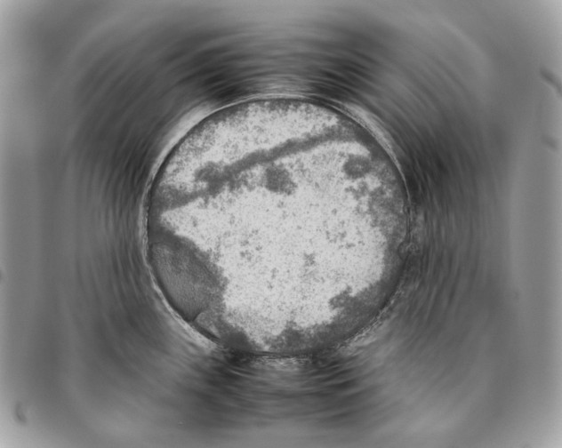 X0000095891243200802081110