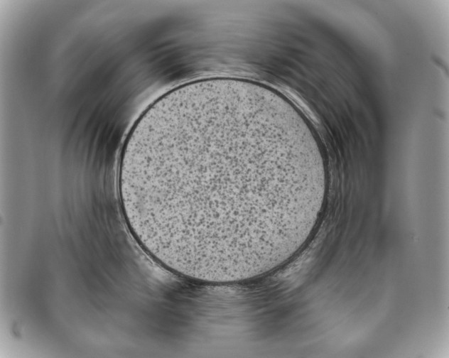 X0000095891246200802081110