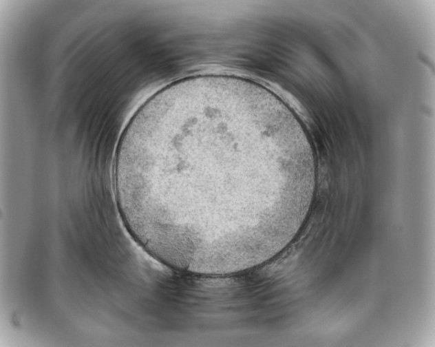 X0000095891247200802081110
