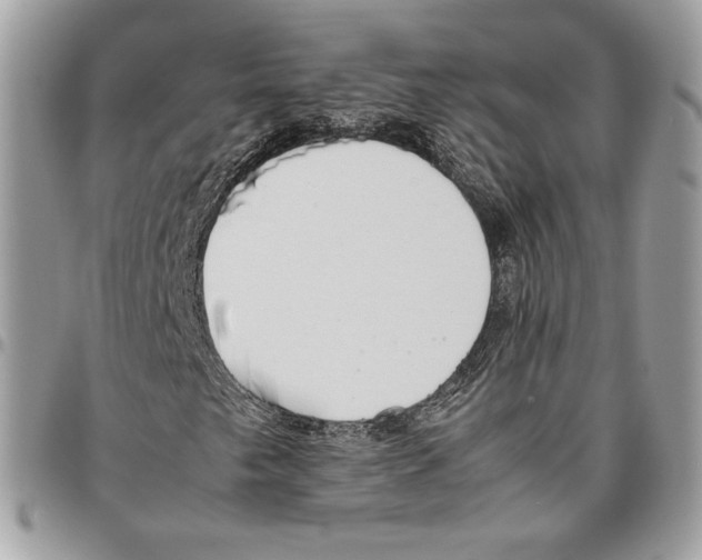 X0000095891249200802081109