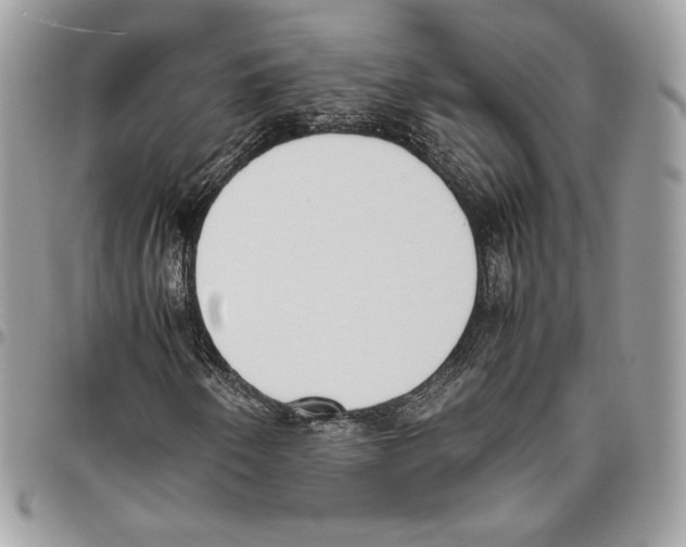 X0000095891250200802081109