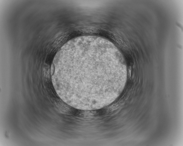 X0000095891251200802081109