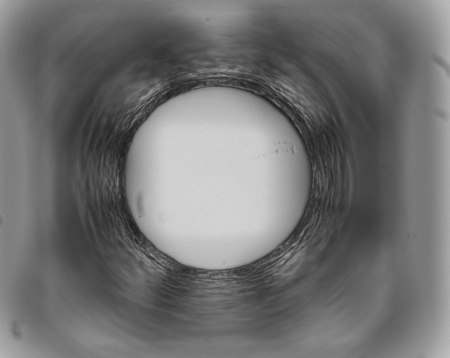 X0000095891252200802081109