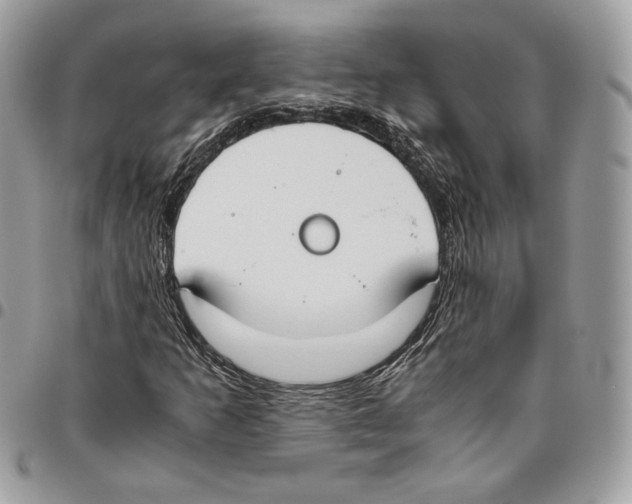 X0000095891253200802081109