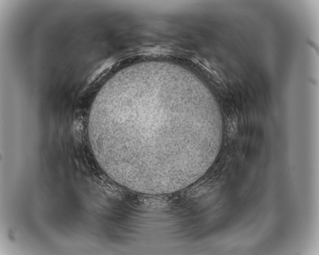 X0000095891254200802081109