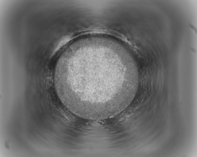 X0000095891255200802081109