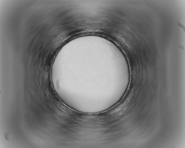 X0000095891257200802081109
