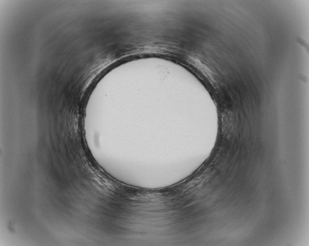 X0000095891260200802081109