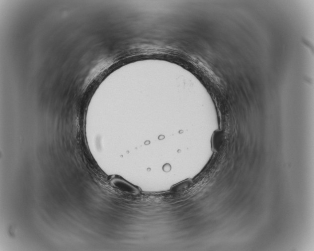 X0000095891261200802081109