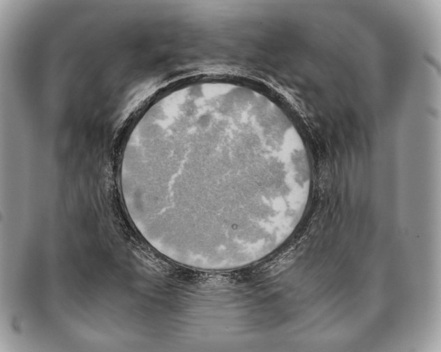 X0000095891263200802081109