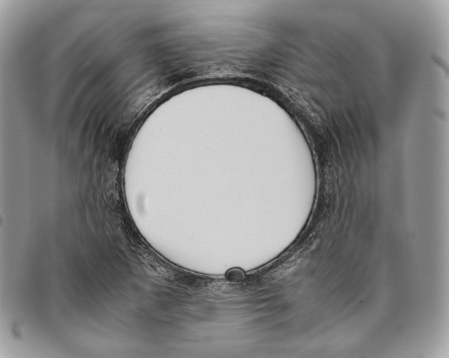 X0000095891265200802081109
