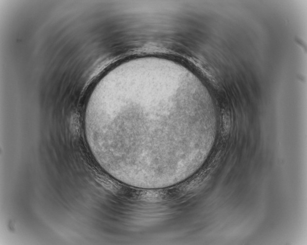 X0000095891266200802081109