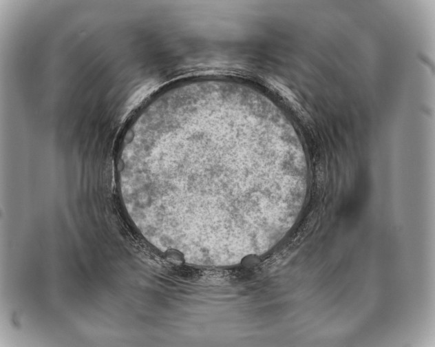 X0000095891267200802081109
