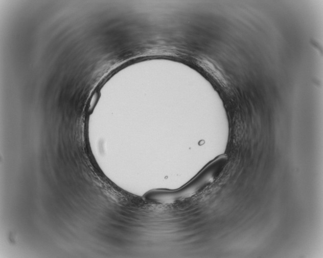 X0000095891268200802081109