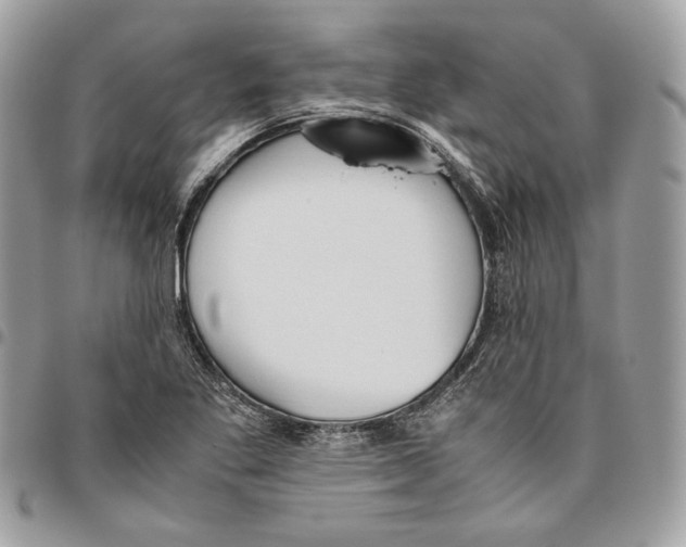 X0000095891269200802081109