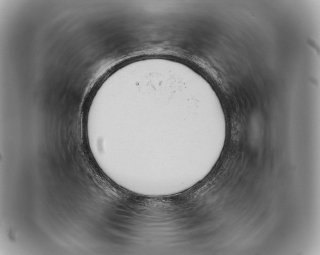 X0000095891270200802081109