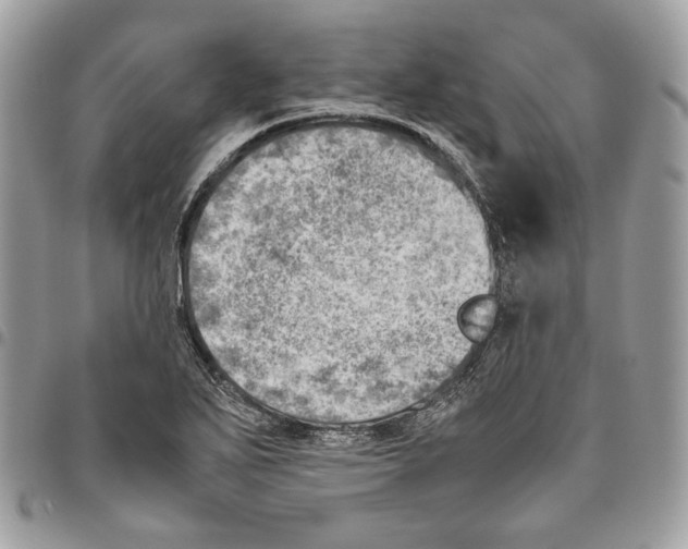 X0000095891271200802081109