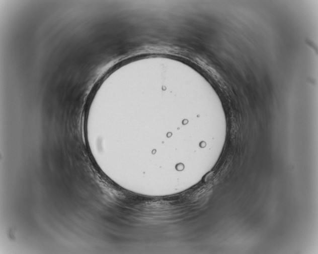 X0000095891272200802081109