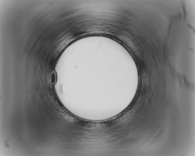 X0000095891273200802081109