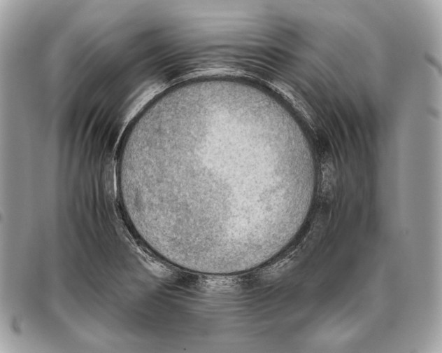 X0000095891274200802081109