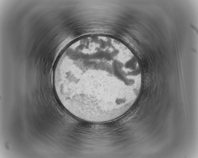 X0000095891275200802081109