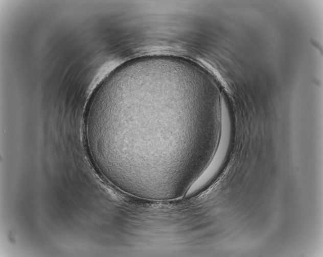 X0000095891277200802081109