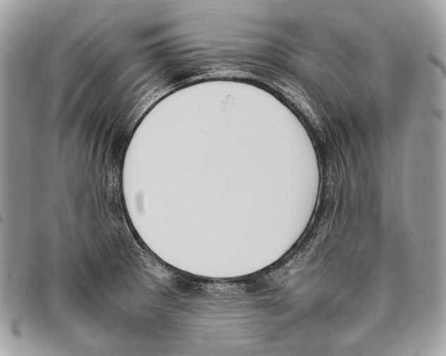X0000095891281200802081109