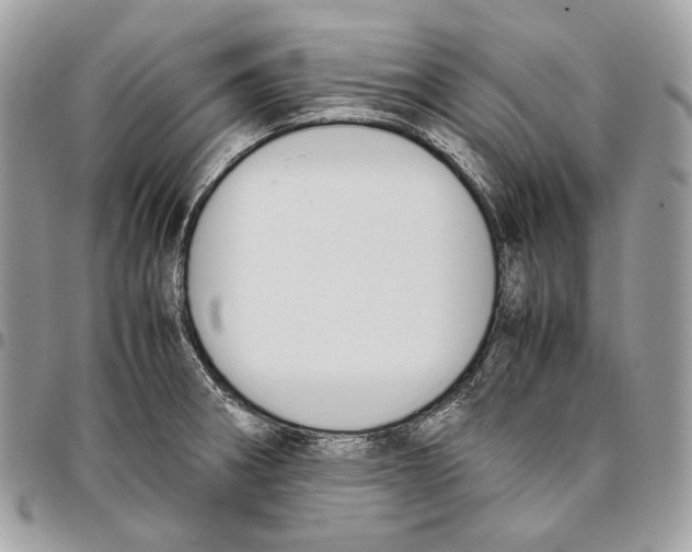 X0000095891282200802081109