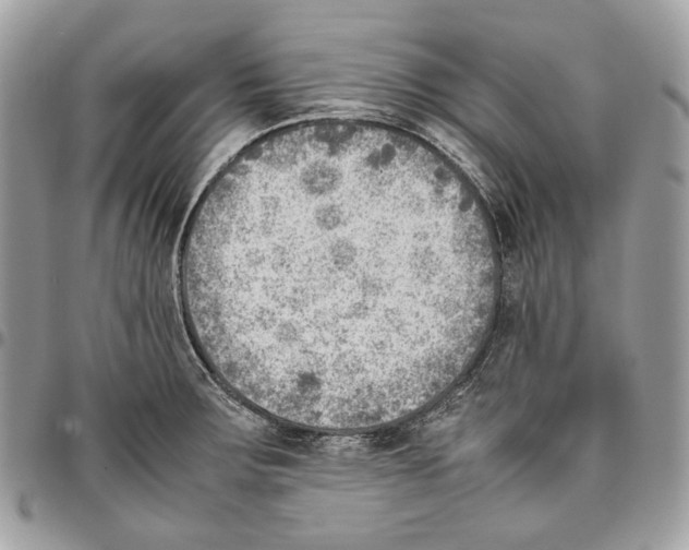 X0000095891283200802081109