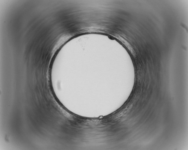 X0000095891285200802081109