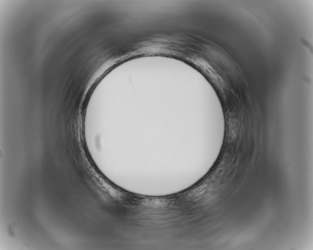 X0000095891286200802081109