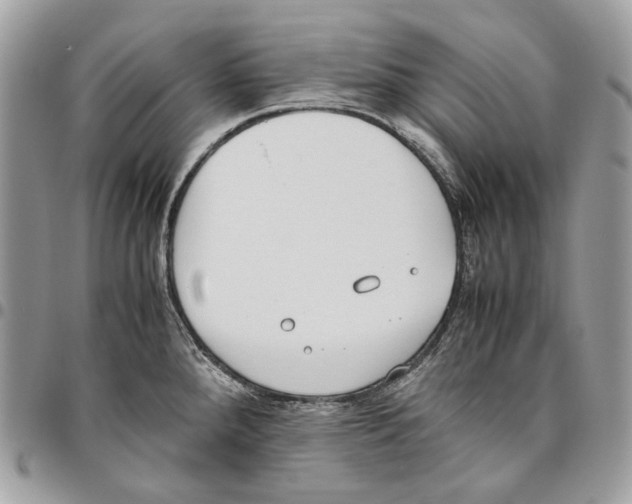 X0000095891288200802081109