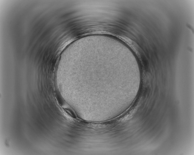 X0000095891289200802081109