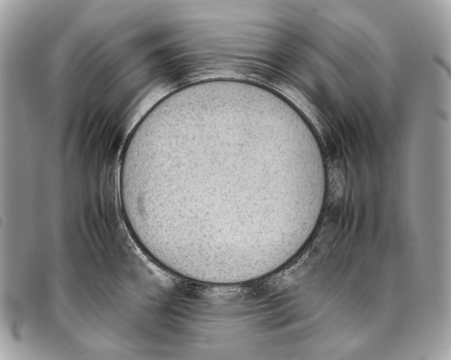 X0000095891290200802081109