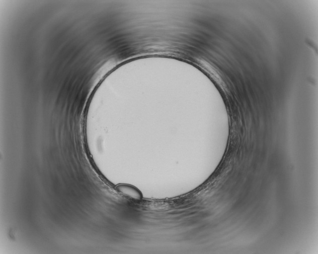 X0000095891291200802081109