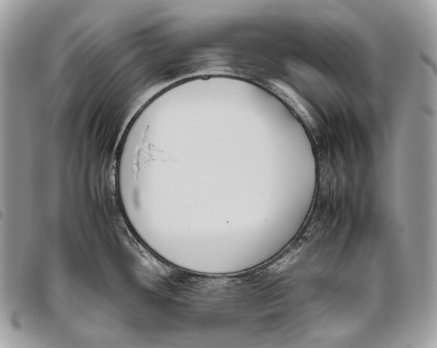 X0000095891292200802081109